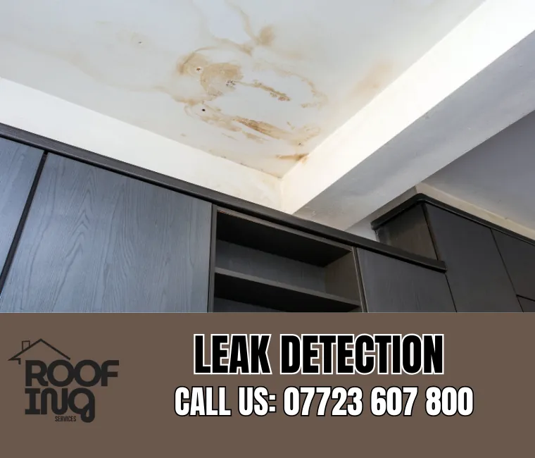 Roof Leak Detection in Ivybridge