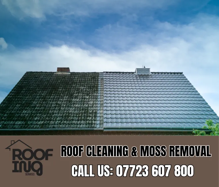 Roof Cleaning in Ivybridge